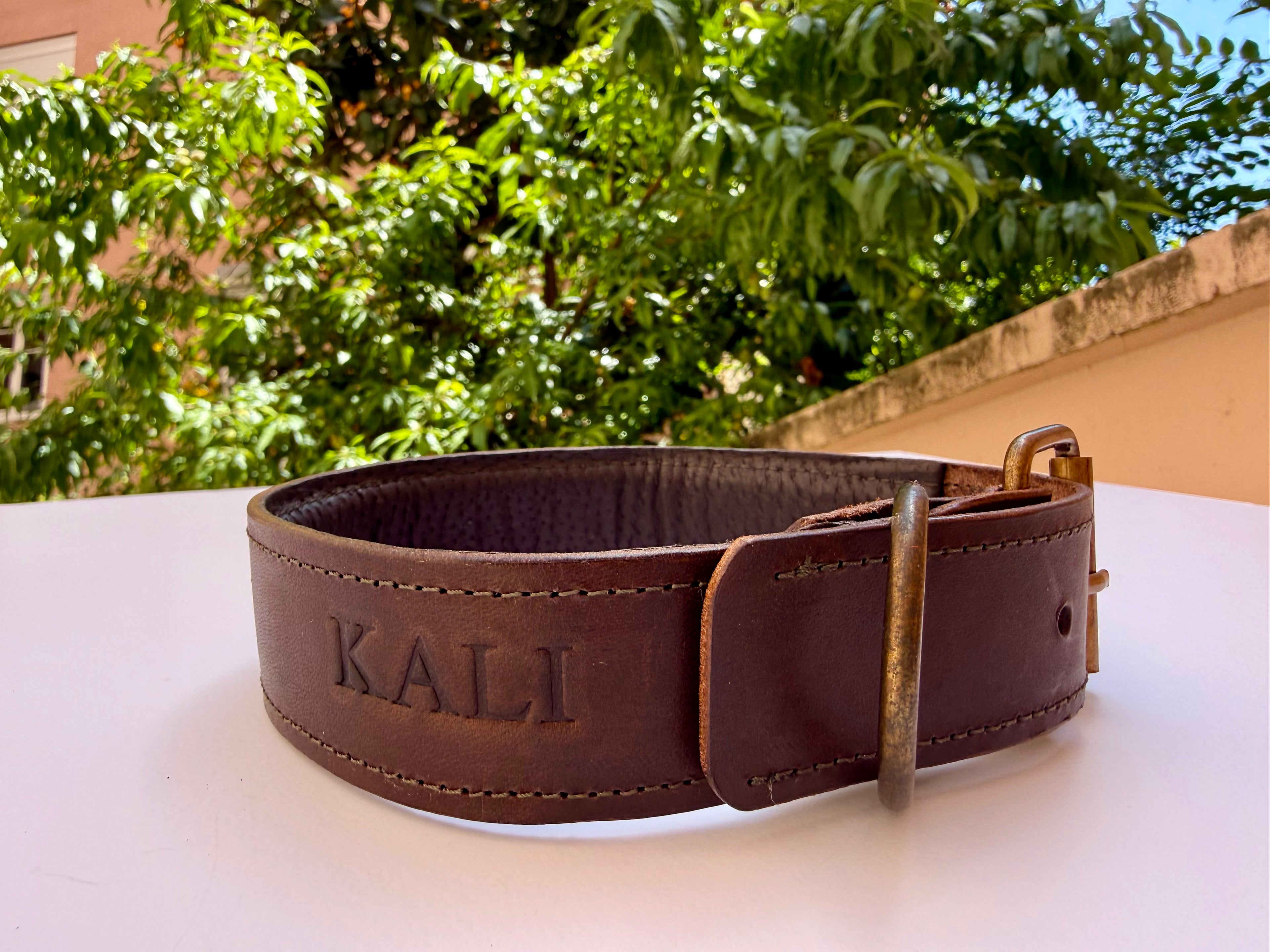 Collier pour chien en cuir avec doublure rembourrée et personnalisation | Fait main et rembourré 