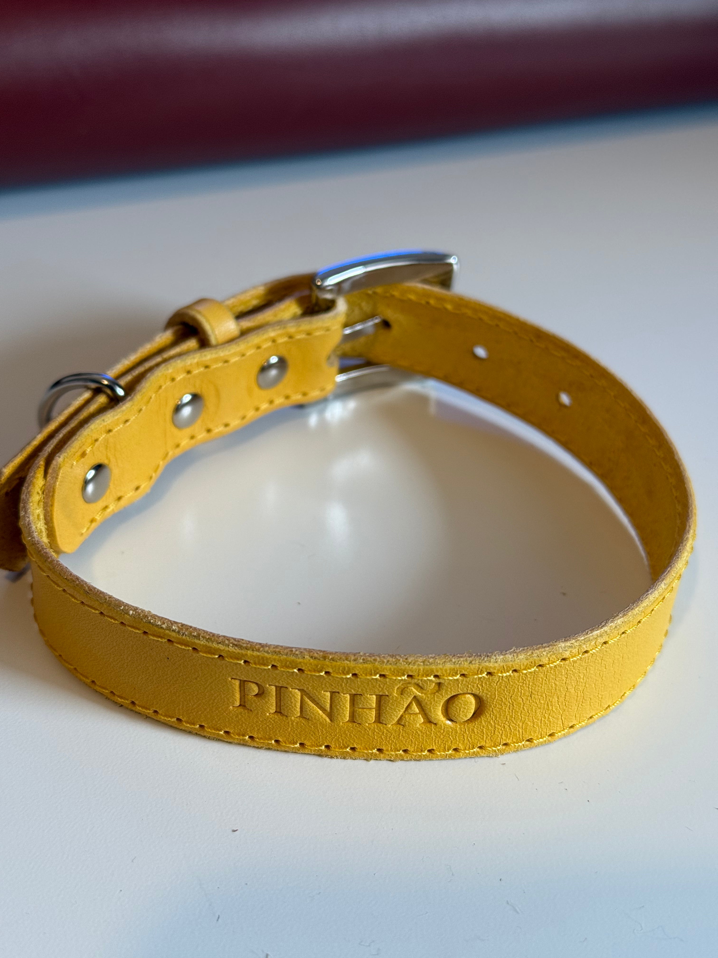 Coleira em Couro para Cão ou Gato Personalizada
