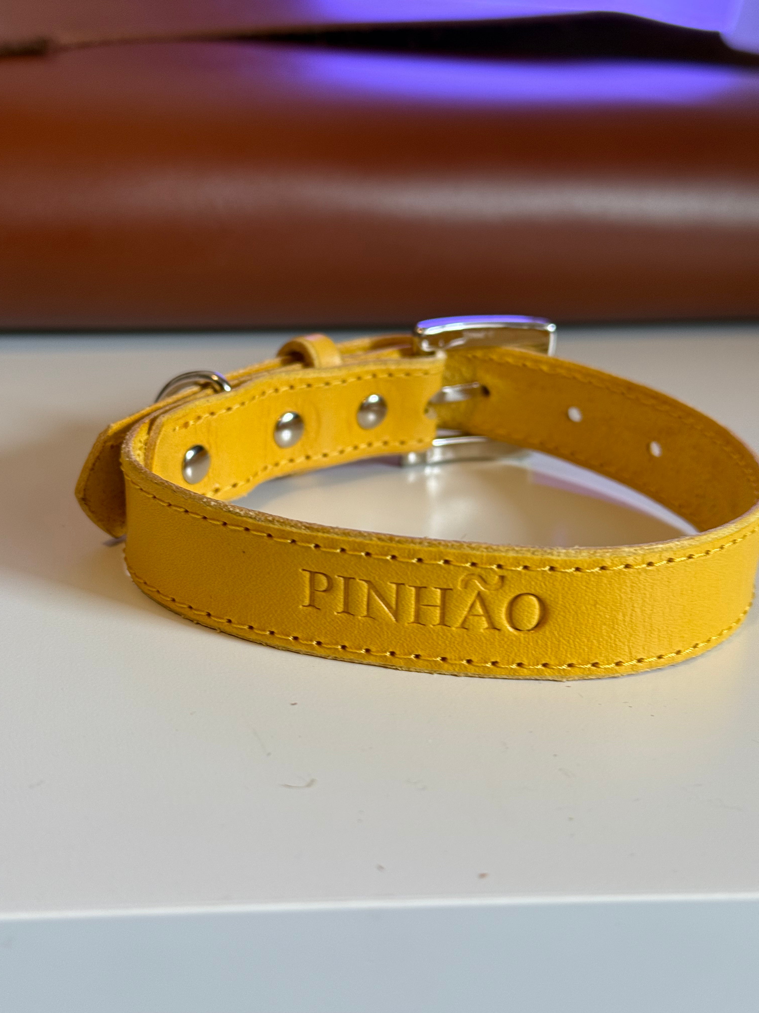 Coleira em Couro para Cão ou Gato Personalizada