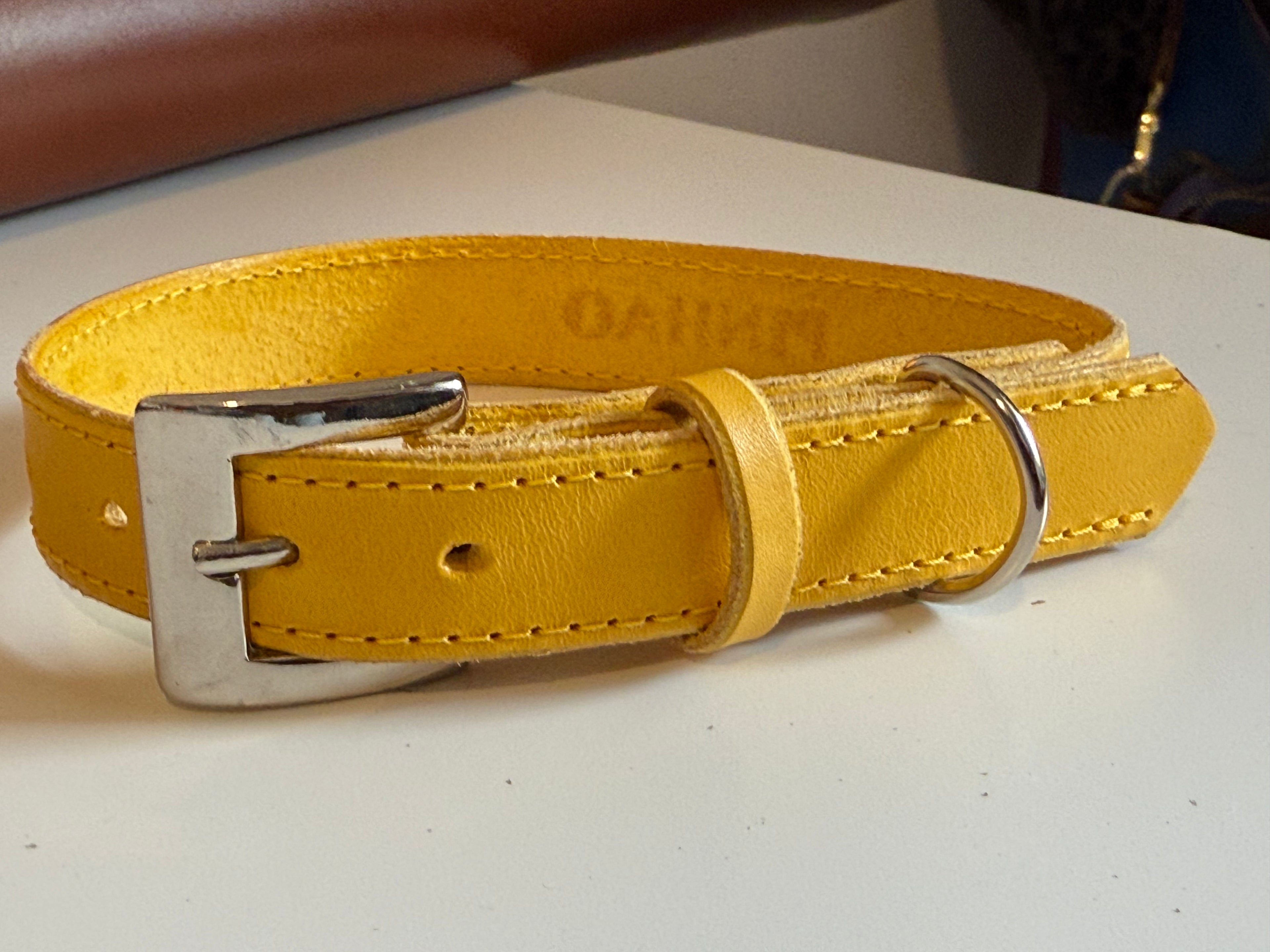Coleira em Couro para Cão ou Gato Personalizada