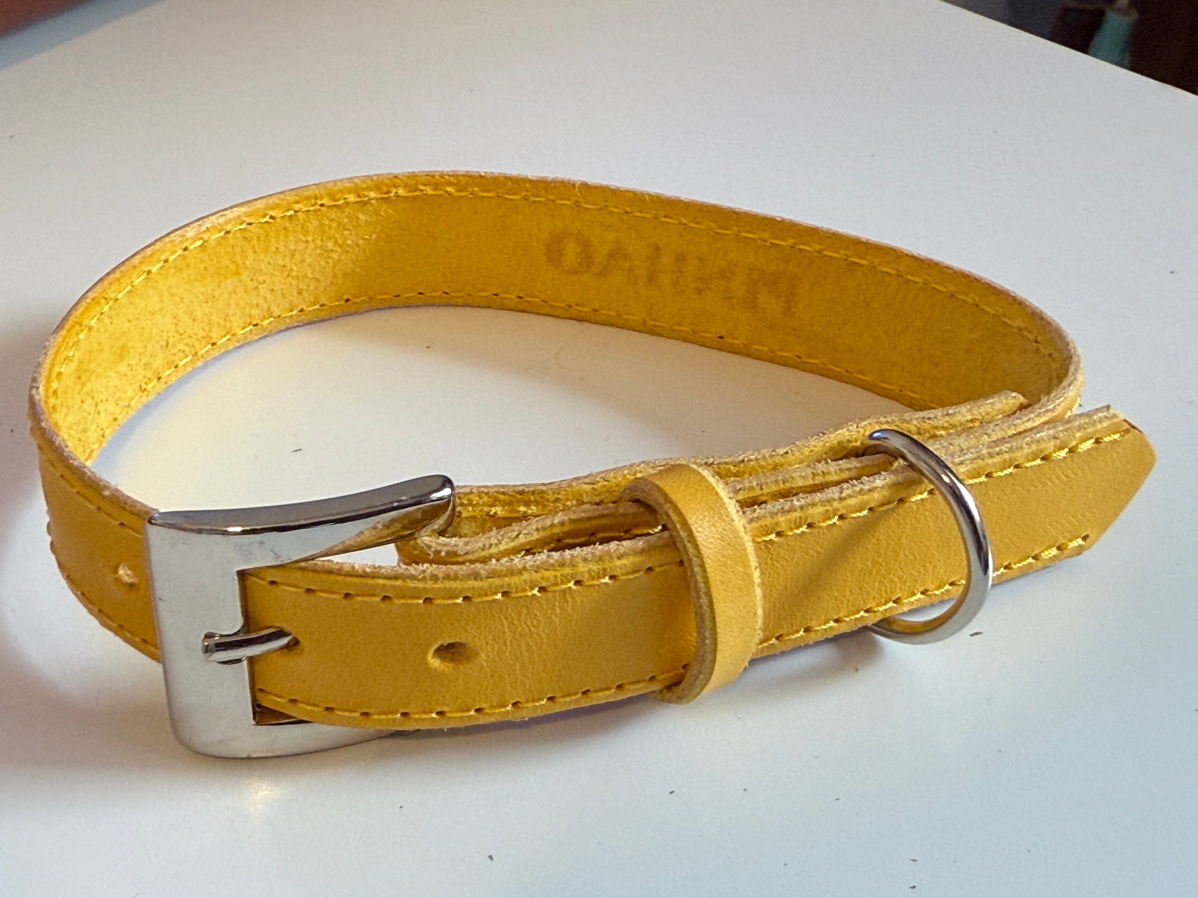 Coleira em Couro para Cão ou Gato Personalizada
