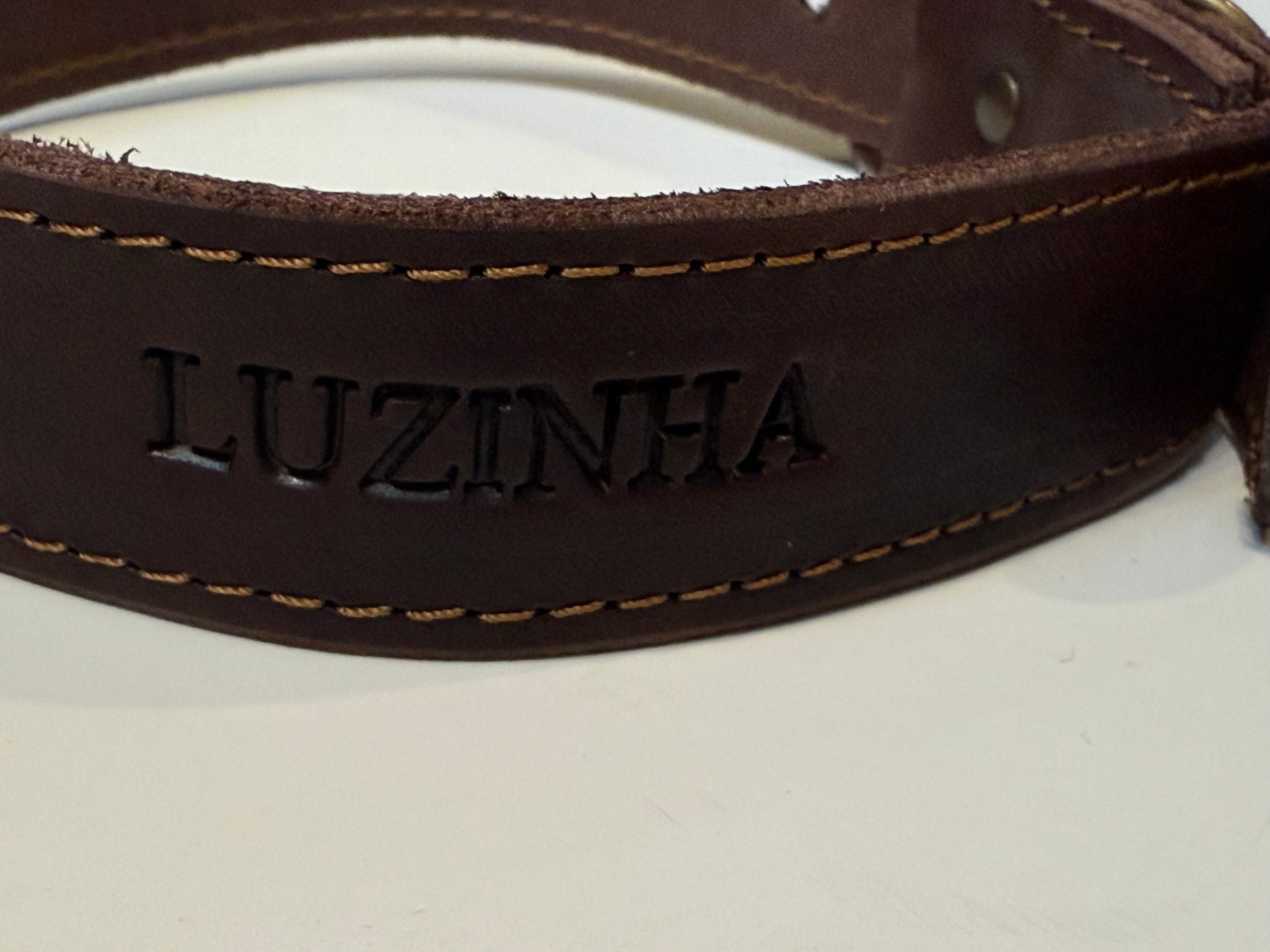 Coleira em Couro para Cão ou Gato Personalizada