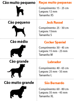 Coleira em Couro para Cão ou Gato Personalizada - Couragem Leather Studio